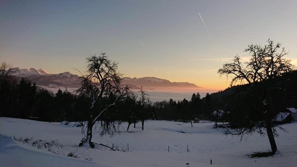 Les Chalets De Ludran Viuz-en-Sallaz Εξωτερικό φωτογραφία